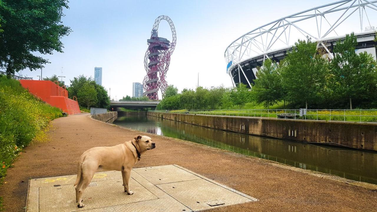 Beautiful Central Home For 6 Near Olympic Park And Abba Theatre London Kültér fotó